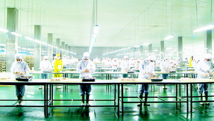 路斯股份再度冲刺精选层 食品互联网销售驱动新增长