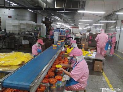 福建力诚食品 防疫与生产双线并进，互联网销售驱动新增长