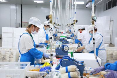 坚持市场导向 安图经济发展“主引擎”再发力——聚焦食品互联网销售