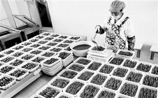 食品互联网销售 中华合作时报视角下的机遇与挑战